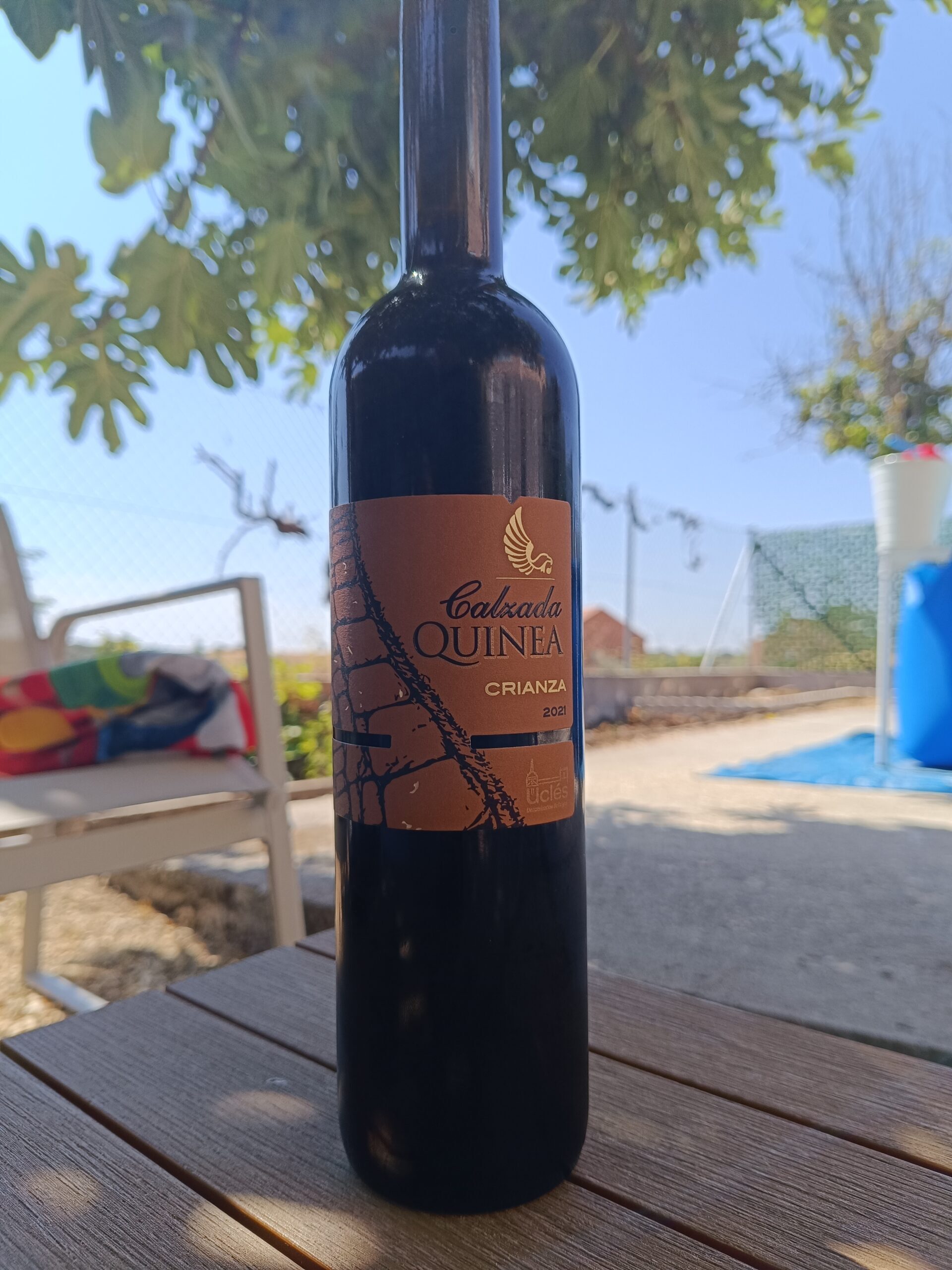 Calzada Quinea 2021