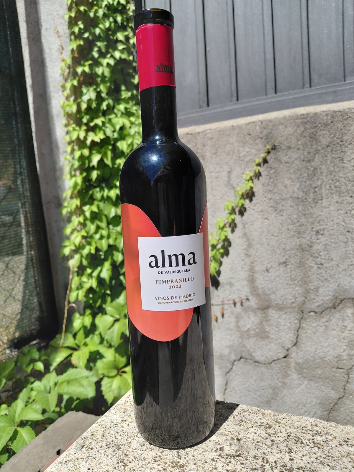 Alma